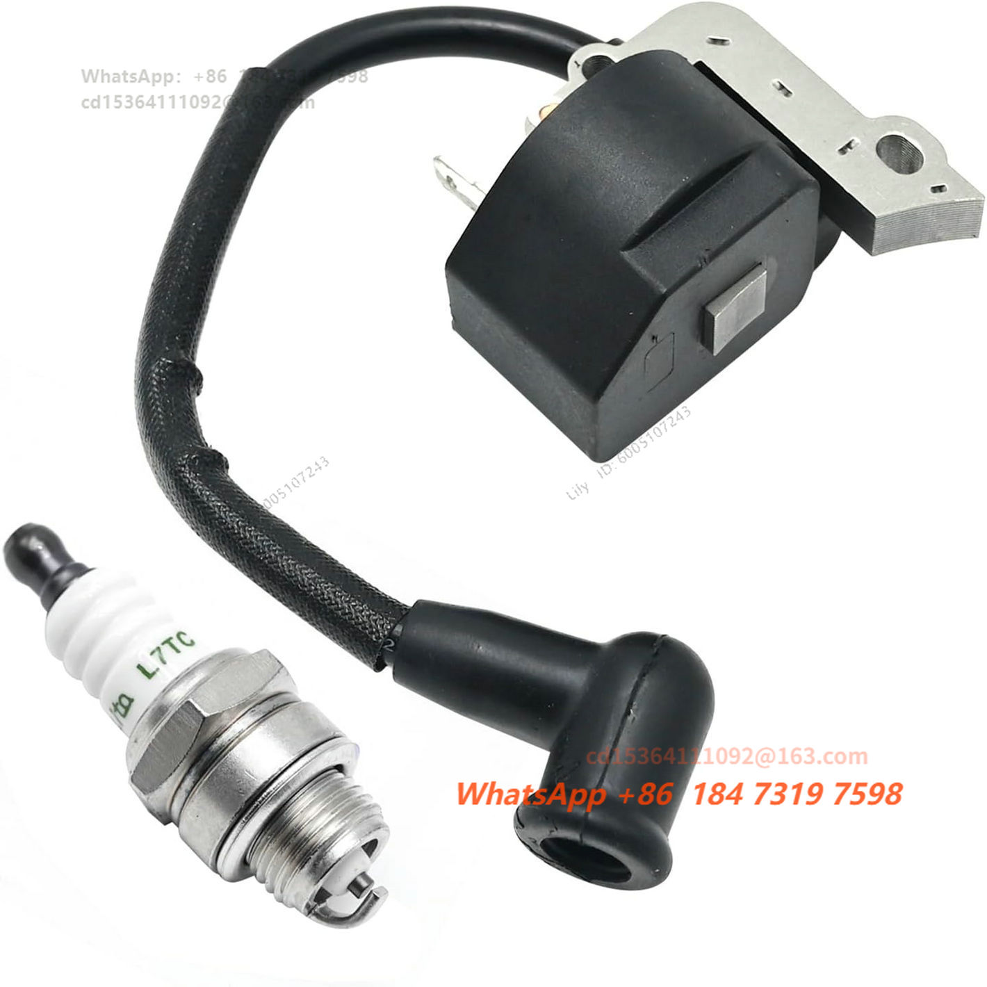 Pacote de bobina de ignição de - Spark Plug avaliação e preço